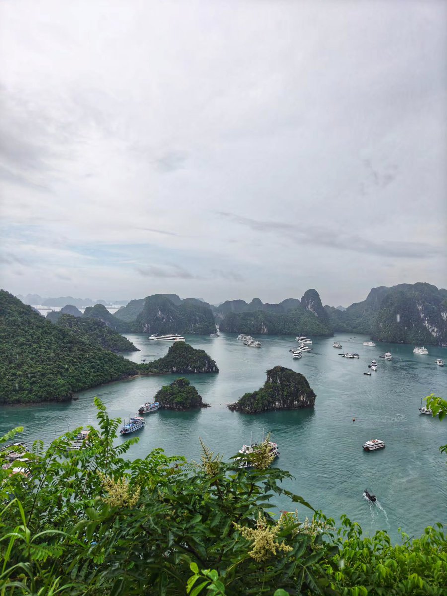 SomePeoplee's tweet photo. Ha Long Bay is a UNESCO World Heritage Site of emerald waters, limestone karsts, hidden caves, and unforgettable views. After 450 steps, the panorama feels like my Everest. Tourist hotspot, but absolutely worth it. https://t.co/k18CEttif4