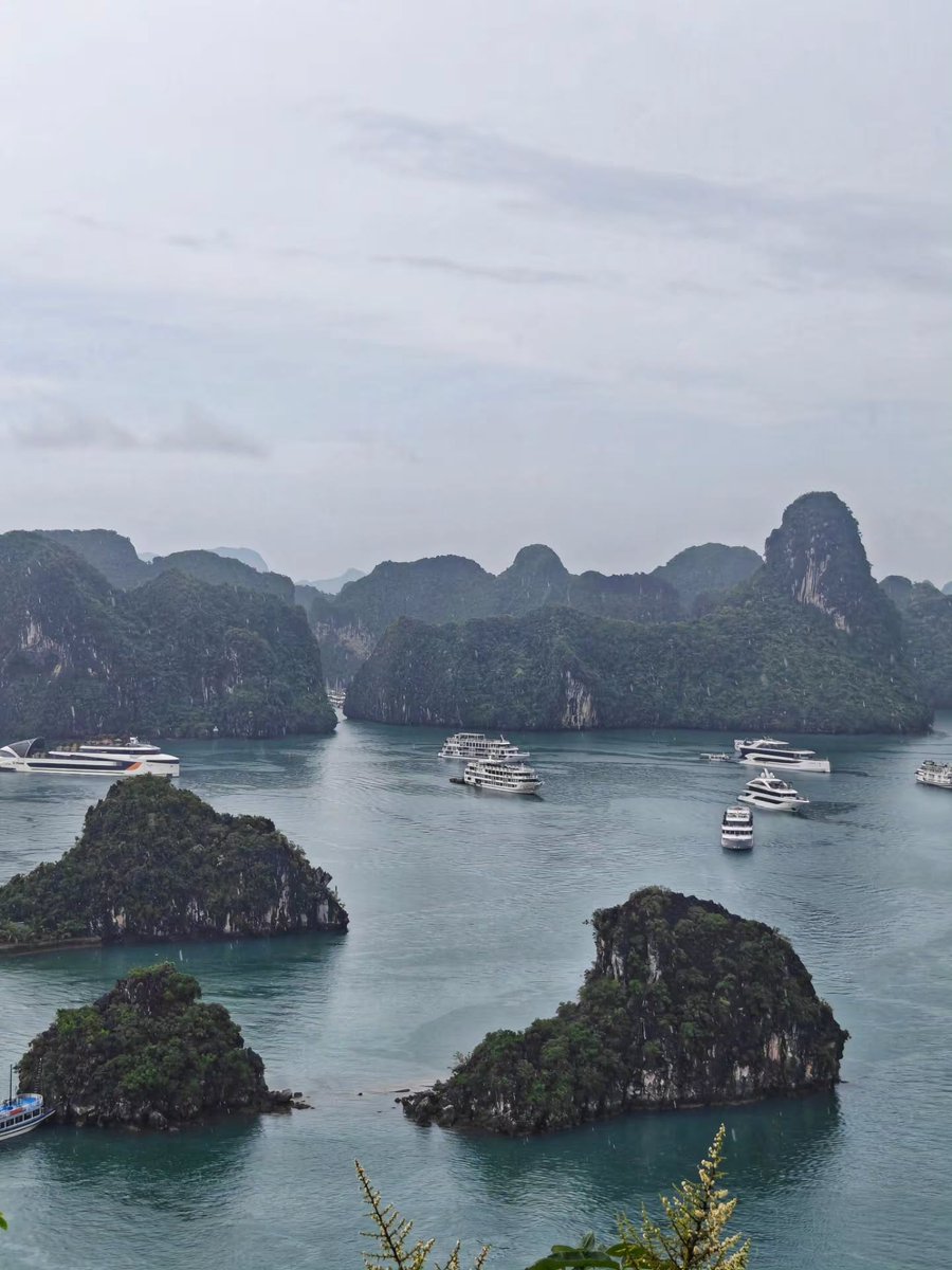 SomePeoplee's tweet photo. Ha Long Bay is a UNESCO World Heritage Site of emerald waters, limestone karsts, hidden caves, and unforgettable views. After 450 steps, the panorama feels like my Everest. Tourist hotspot, but absolutely worth it. https://t.co/k18CEttif4