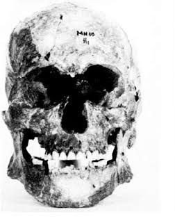 khaliddergrobe's tweet photo. @SprayOnCopper @Zeke_Darwin @ChrisStringer65 Can you create a 3D reconstruction of that Hassi-el-Abiod skull from the Green Sahara? I haven't been able to find a sharper side-view image of it. https://t.co/zIfcP6pHyX