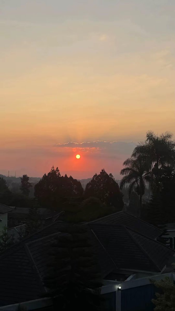 rerelypse's tweet photo. ☀️🫶🏻🦢🌅 https://t.co/XBJOkTmCqo