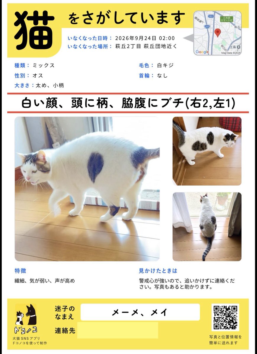 mea_missing_cat's tweet photo. 【拡散希望・お願い】
写真の猫を探しています。
どんな些細な情報でも構いませんので、ご一報いただけると助かります。
どうぞよろしくお願いします。
#迷い猫 #迷子猫 #保護猫
#探しています #迷子ペット
#猫好きさんと繋がりたい𓏲𓎨 
#静岡県浜松市 https://t.co/J40BWPiJyw