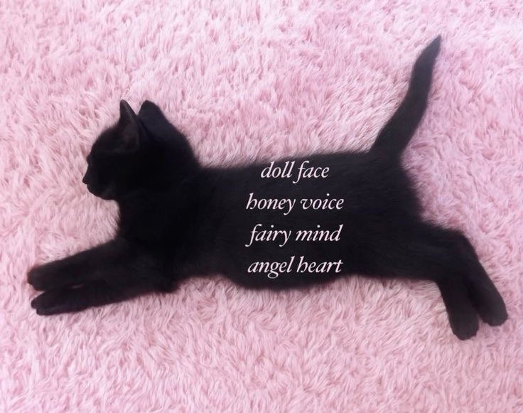 heartipink's tweet photo. https://t.co/d0SFRJCbik