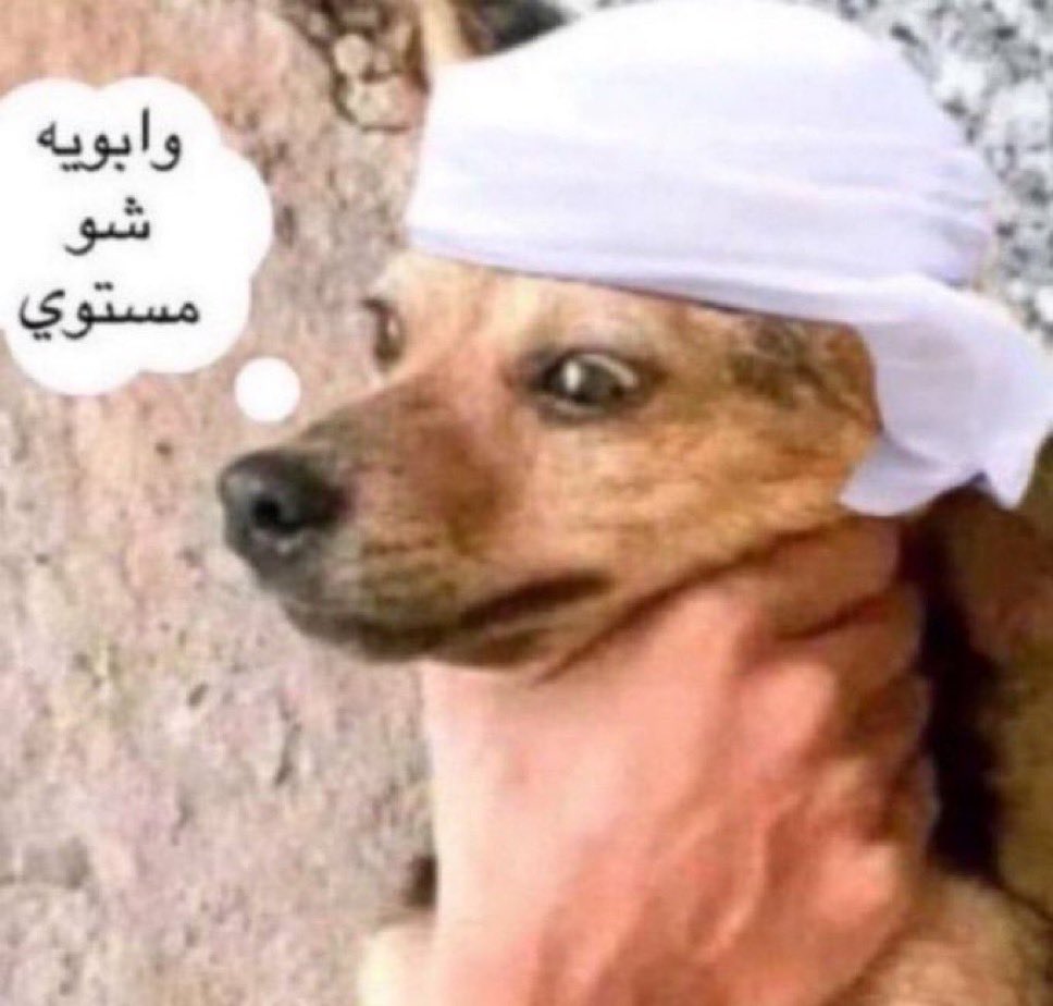 Borutoyes's tweet photo. @gang_uae https://t.co/RwsBuXd86L