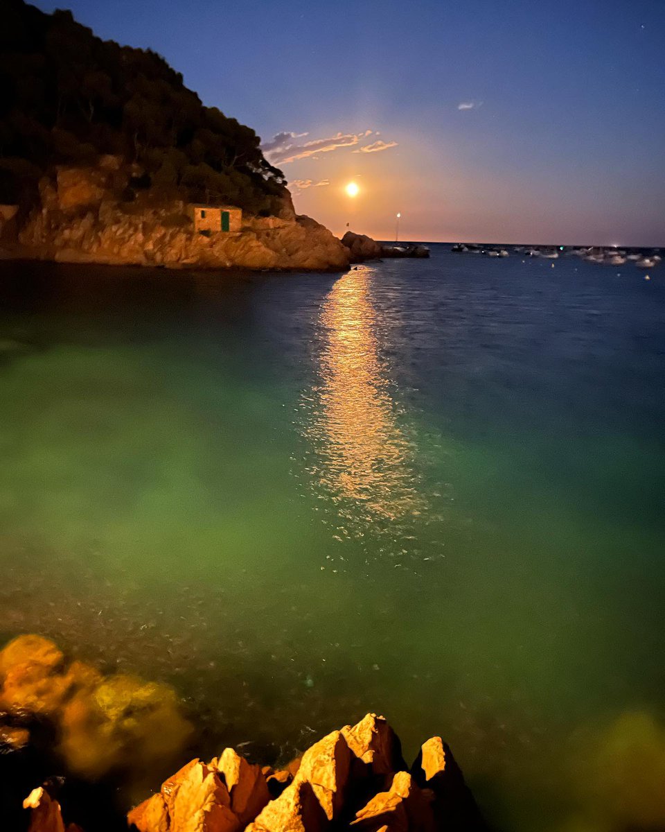 hsevincok's tweet photo. Au bain de lune, la nuit se fait douceur. https://t.co/ReZlPDL5CU