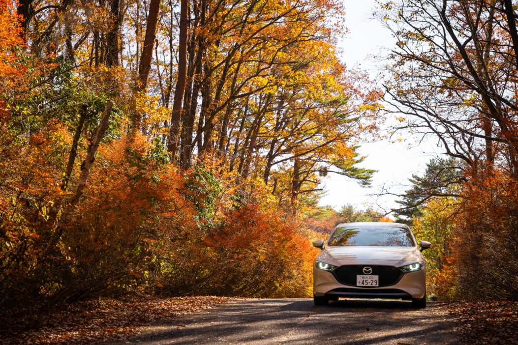 Mazda_PR's tweet photo. ◇秋とMAZDA3◇

気持ちのいい風に誘われて、どこかへ出かけたくなる季節✨

色づく木々や澄んだ空など、秋ならではの風景と愛車の写真を撮っていると、つい時間を忘れてしまう。そんな経験はありませんか？

皆さんの秋におススメの「撮影スポット」をぜひコメントで教えてください🚗

MAZDA3 FASTBACKについて詳しくはこちら
https://t.co/zRKYw5cE3F

#どこいく #ドライブ #マツダ #MAZDA #MAZDA3
