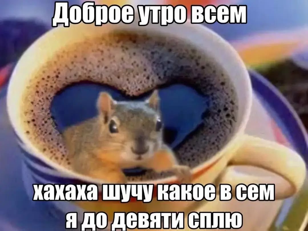 miilhygn's tweet photo. нет, я не хочу сегодня никуда идти, давайте это самое там без меня да https://t.co/Ts0y2ju5RH