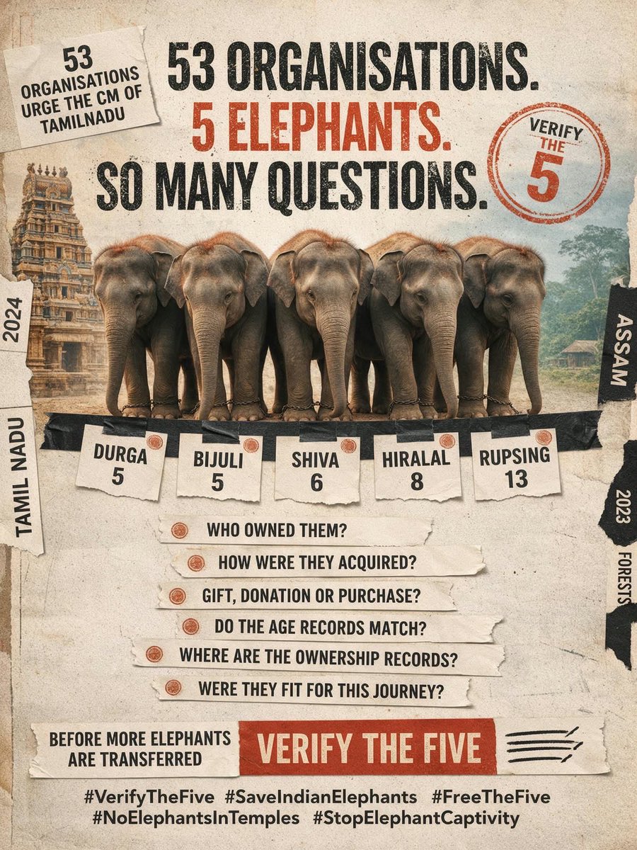 keeperofdgreen's tweet photo. What were their birth dates?
Who were their owners?
Where are the acquisition documents?
Where are the NOCs to transfer these elephants?
Where are the identification records? 

These are few of the many questions raised by about 53 NGOs across India about these baby elephants transfer.

Rightly asked and the authorities must answer!

#SaveIndianElephants #FreeTheFive #StopElephantCaptivity #VerifyTheFive
