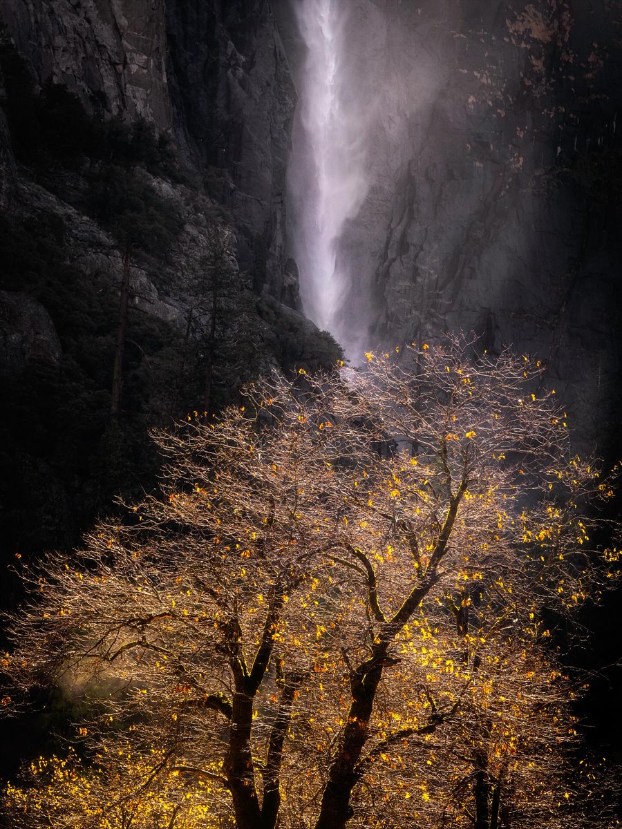 Nathalia2159's tweet photo. Yosemite Valley in autumn: glowing leaves, misty falls, and granite cliffs in perfect contrast. Part of my Yosemite series, now available as a fine-art print. DM for purchasing or custom sizes. https://t.co/oXVOdBUBBn