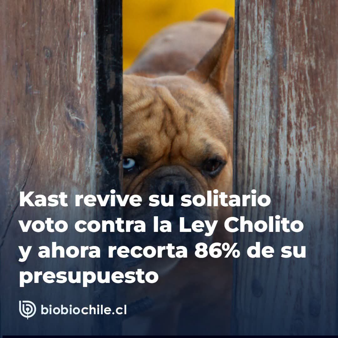 ElPirataErrante's tweet photo. Tú que votaste por este QL, ¿qué me dices de esto? Ya sé: "¡Pero igual derrotamos al comunismo!"... 🤦🤦🤦

#KKast. https://t.co/STHA4i0uif