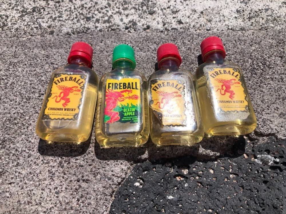 joe_ironman's tweet photo. Scruffy says I smell like cinnamon after another Fireball World Championship Mile...in honor of Mikey Rouse's B-Day!
#hawaii #bigisland
#xoskinusa
#hawaiiultra #teamfireball
Noxgear lighted vests for you and your pets! https://t.co/gMUYlIrtug https://t.co/AkwrLndATr
