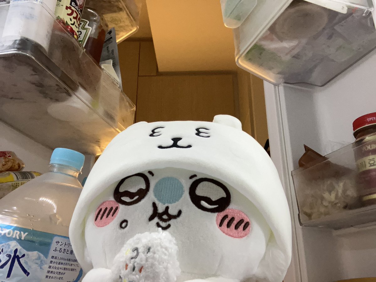 ikameshiya3's tweet photo. ン~~~~~~? https://t.co/X2YRwVX1wj