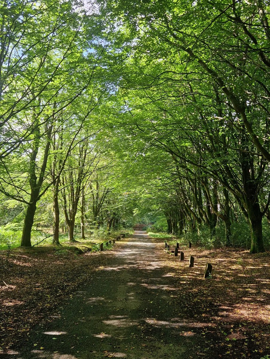 selmichta's tweet photo. A stunning wander through Lever Park in Lancashire in this week’s video. https://t.co/LSGm9jgkAB