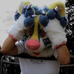 Photo by August (@Modrathewolf)