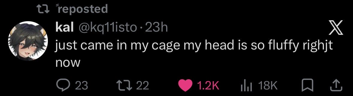 Cuhwaiisimp's tweet photo. Guys I’m in danger https://t.co/dJytQ0Tzx2