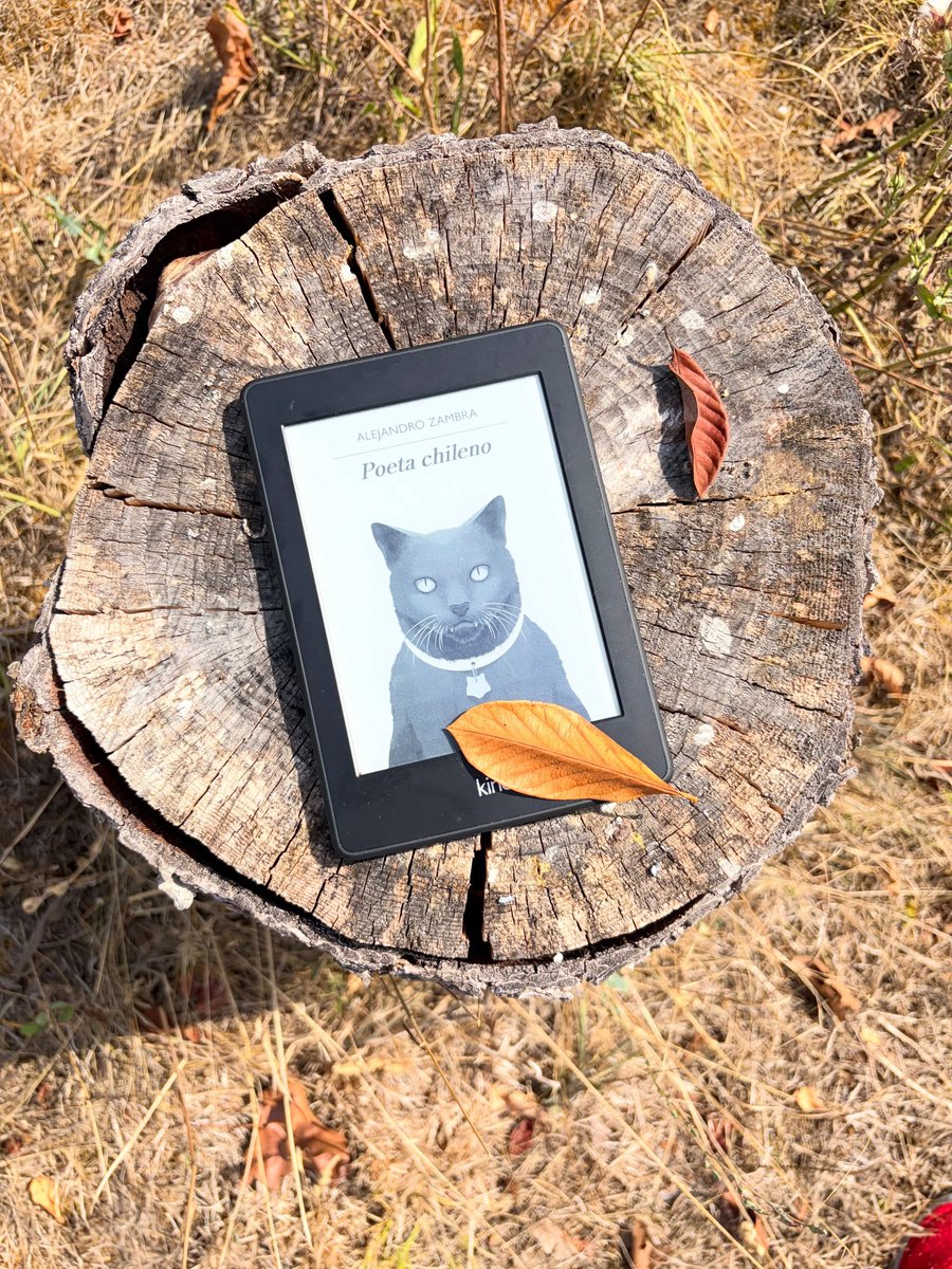 gabi_fb21's tweet photo. Poeta chileno, de Alejandro Zambra, es una novela tierna, triste y llena de matices sobre familia, poesía y el paso del tiempo. Su voz cotidiana y sus personajes reales me han conquistado. Muy recomendable. https://t.co/bWmhWse0Aw