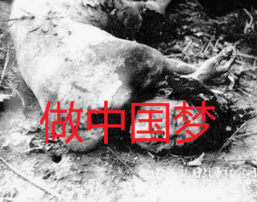maojinping1005's tweet photo. @LibrationTyth @maojinping0722 @Eweallobt 我知道你老冯是其中之一🤭🤭🤭 https://t.co/ApoTBKK77x