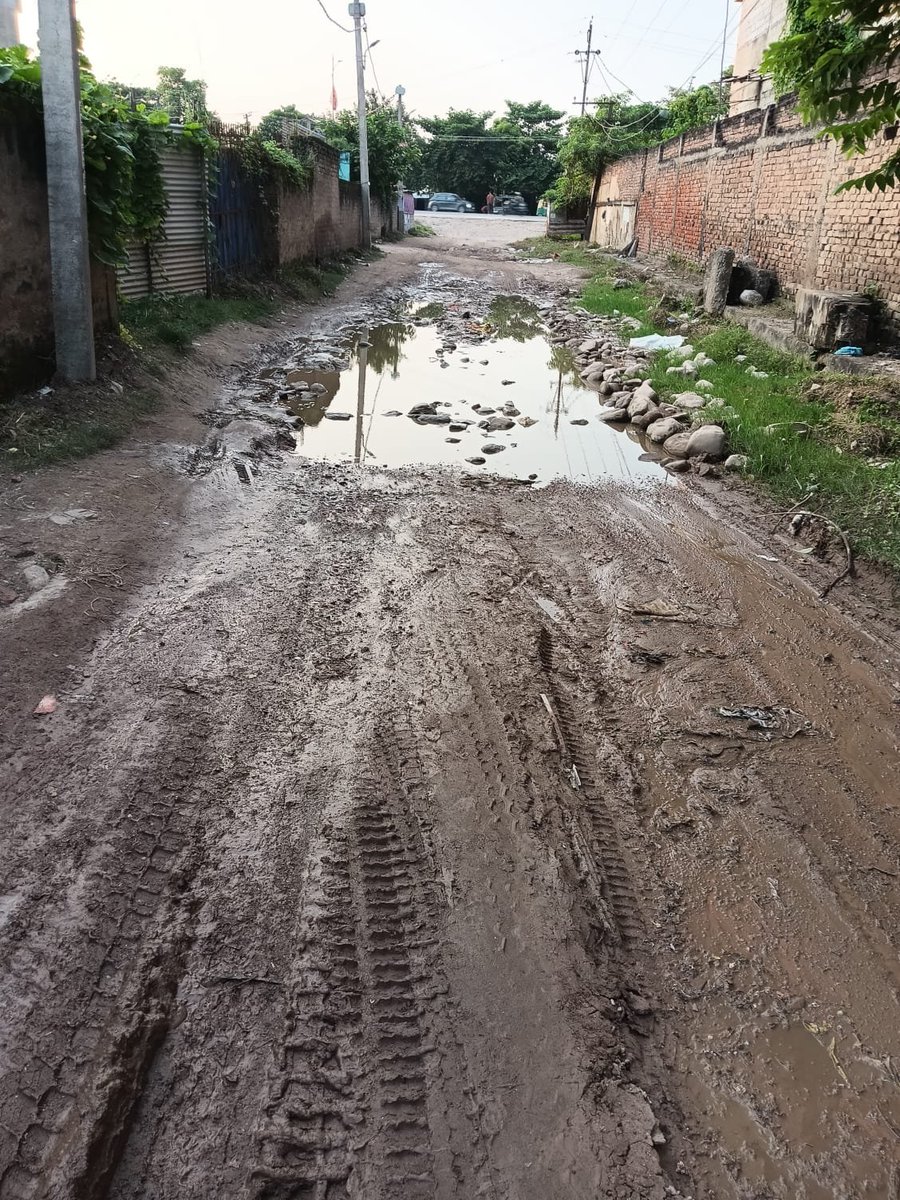 birendarjain's tweet photo. @BiharCMQRT ​पूर्णियाँ के वार्ड 38 (गुलाबबाग) में "SH 06 लेन तिवारी कोल्ड स्टोरेज से वाया जवाहर गोदाम कालीघाट सड़क NH 31 बाईपास तक" पिछले 50 वर्षों से सड़क का निर्माण नहीं हुआ है।क्षेत्रवासियों की वर्षों पुरानी समस्या को देखते हुए कृपया  सड़क निर्माण कार्य अविलंब प्रारंभ कराने की कृपा करें।
