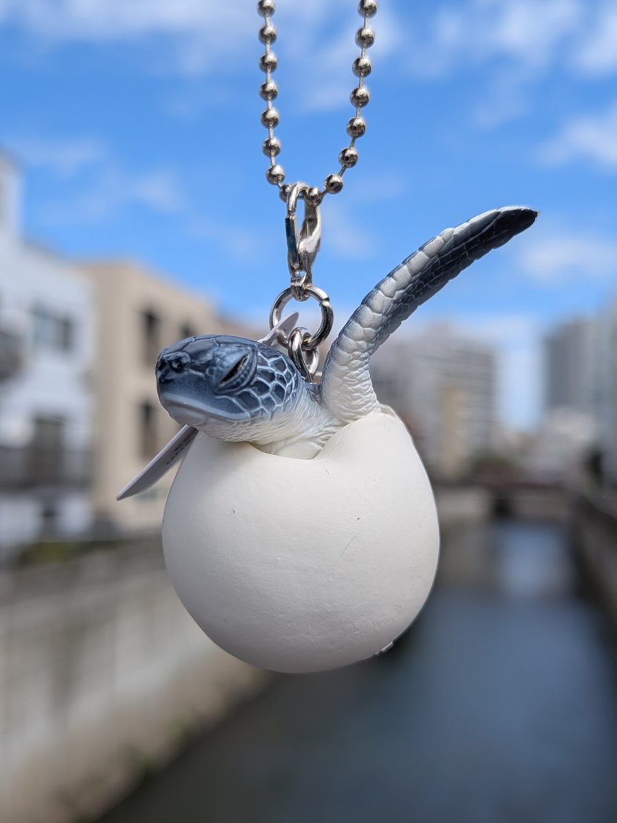 NTC_ikimon's tweet photo. 明日10月8日（木）より新アイテム、NTC MONO+ 「孵化 フィギュアマスコット＆ボールチェーン」が順次発売開始となります。
様々ないきものが「孵化」する瞬間をネイチャーテクニカラーならではの「まるで本物」のようなクオリティでフィギュア化！　設置店舗などの詳細は後ほど（広報2号） https://t.co/wc2tFrVQ2j