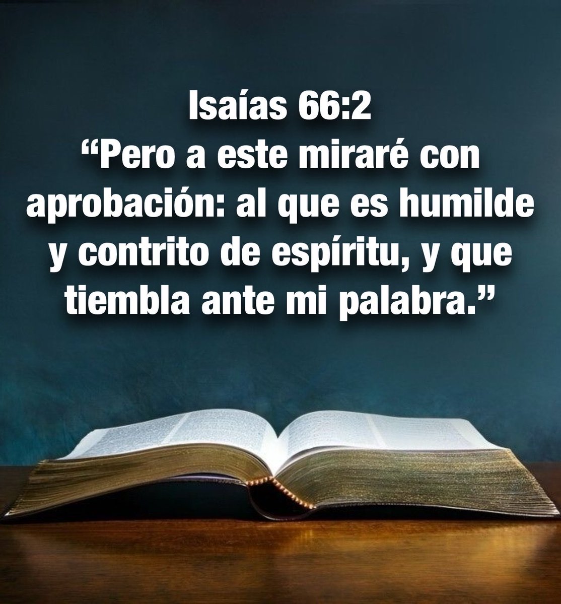 Carmenlop20's tweet photo. Isaías 57:15
“Porque así dijo el Alto y Sublime, el que habita la eternidad, y cuyo nombre es el Santo: Yo habito en la altura y la santidad, y con el quebrantado y humilde de espíritu, para hacer vivir el espíritu de los humildes, y para vivificar el corazón de los quebrantados. https://t.co/6Yq4tLF8kK