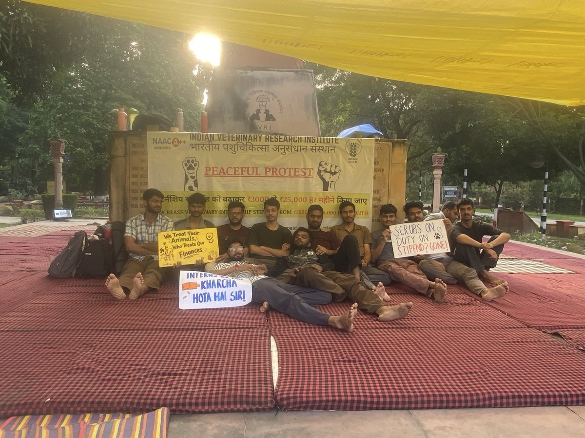 Prernaanuragi11's tweet photo. Day 3✊🏻 
Our demand
Our right Fair stipend

#25KFor12Months #IVRIINTERNSTIPEND #JusticeForIVRIInterns #IVRI #ICAR #VeterinaryStudents #AgriculturalEducation #ShivrajSinghChouhan

@icarindia @ChouhanShivraj @PMOIndia @UPGovt @timesofindia @aajtak @ABPNews @BBCBreaking https://t.co/vy7rk4urYI