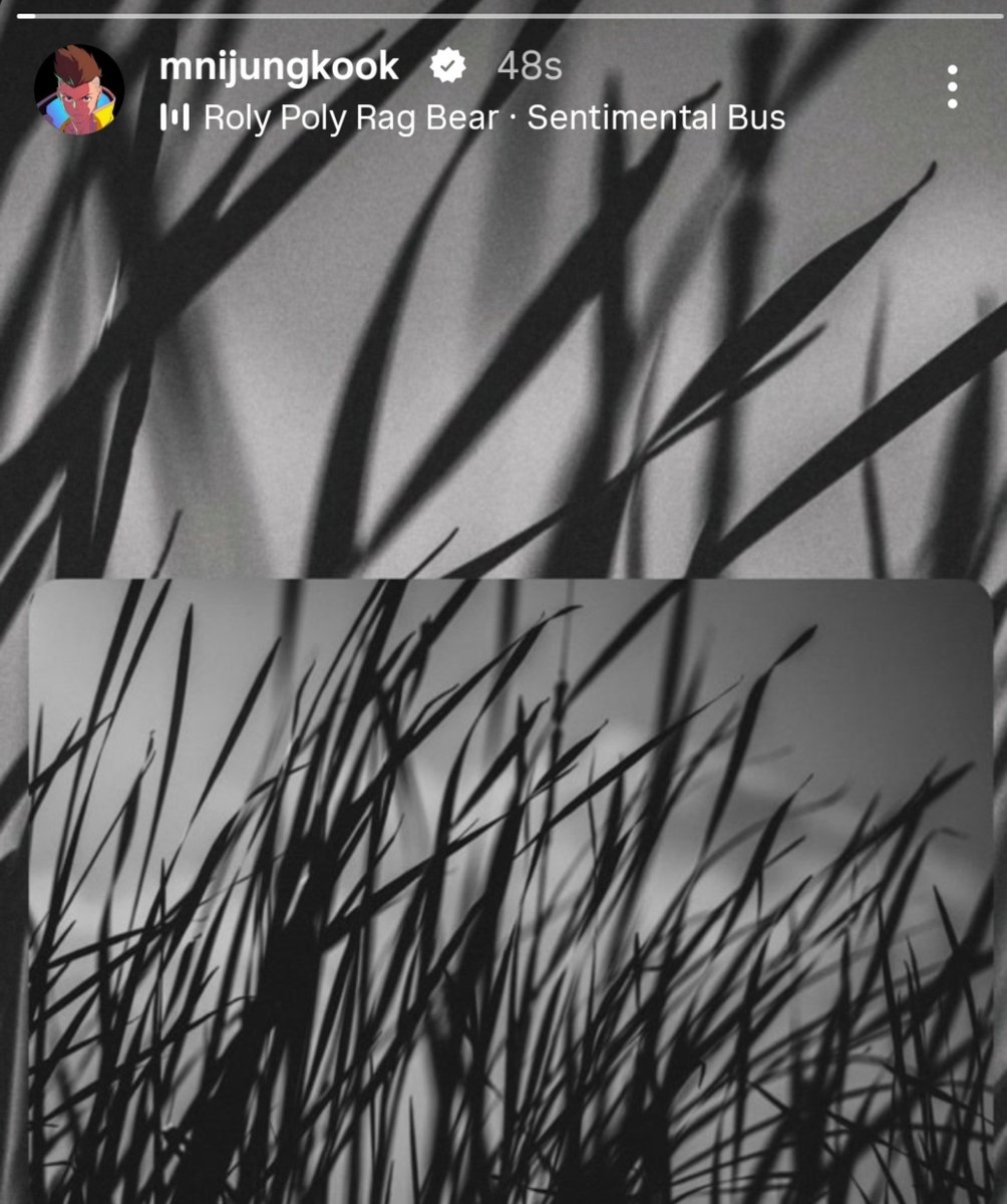 Kvdarlings's tweet photo. The song Jungkook used in his IG story has a bear 🐻 in the MV. It's a really beautiful song about innocence, the passage of time, and finding a sense of mature, reflective comfort even after being weathered by life. ♡ https://t.co/CuKtXgv3cu