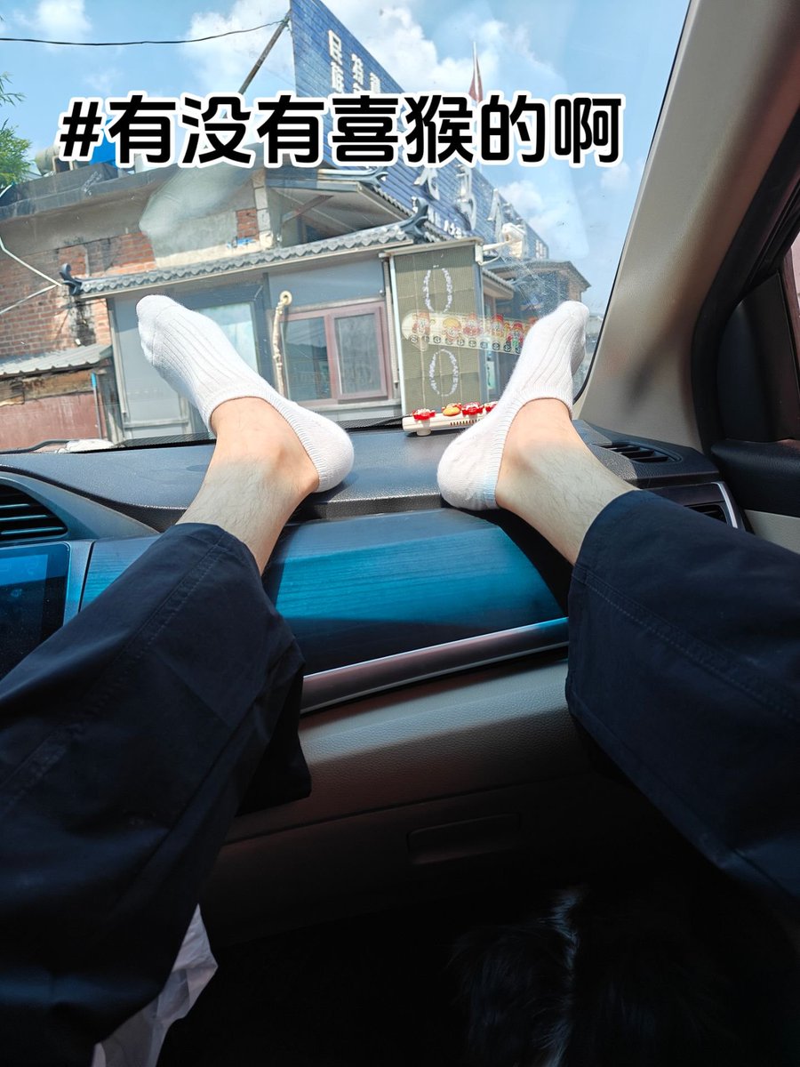 xinyut0c's tweet photo. #熊猴 喜熊找对象 https://t.co/3RnY4bKY9M