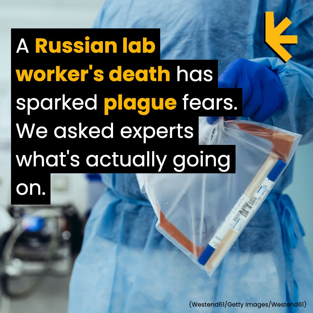 ScienceAlert's tweet photo. Here's what we know. https://t.co/mh6zyWxoaq

#ScienceNews #ScienceAlert #ScienceDiscoveries #StayCurious https://t.co/uREMLgUCsI