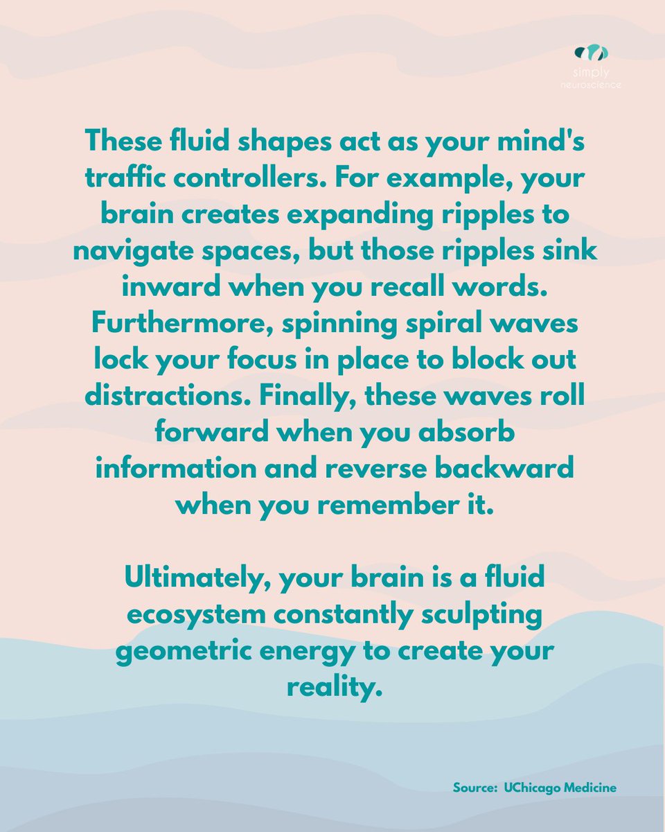 simplyneurosci tweet picture