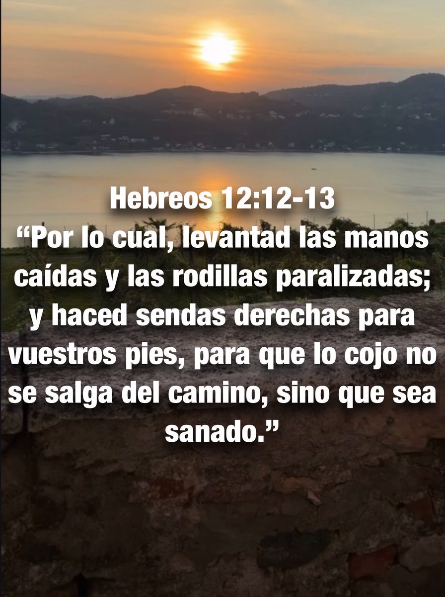 Carmenlop20's tweet photo. Oseas 10:12
“Sembrad para vosotros en justicia,
segad para vosotros en misericordia;
haced para vosotros barbecho,
porque es el tiempo de buscar a Jehová, hasta que venga y os enseñe justicia.” https://t.co/IFj4zuqMiX