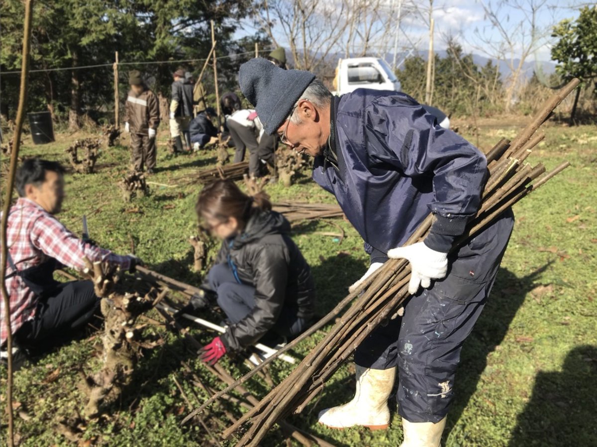 AwagamiFactory's tweet photo. 【参加者募集中】楮・三椏刈り取りワークショップ
和紙の原料である楮(こうぞ)や三椏(みつまた)の刈り取りを行い、和紙の原料のつくりかたを学べる二日間の講習会です。
日程:2026年12月12日(土)、13日(日)
参加費:2日間で2,000円
詳細・お申込はこちらから＞https://t.co/uzoXOisT3d https://t.co/tGM27c3IF7