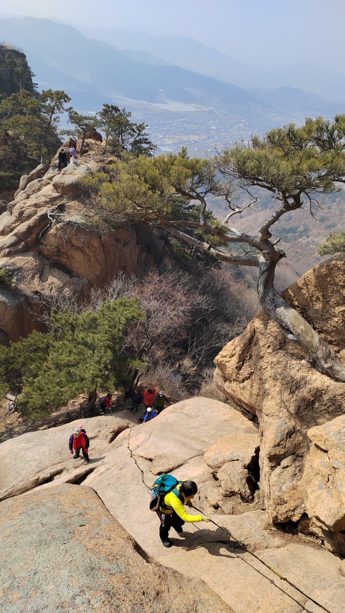 JudyFoxqrl2's tweet photo. Starting a new journey, may every step you take be as steadfast as a mountain, carrying the boldness to climb and the luck to seize opportunities. https://t.co/xExeKkhuow