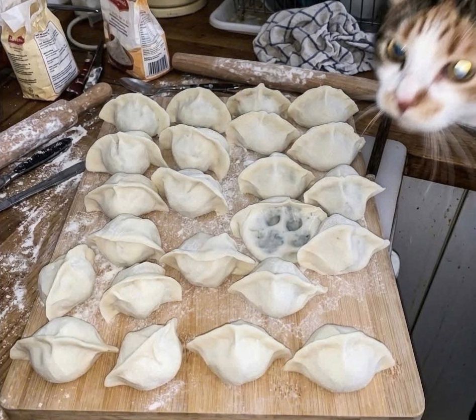 equine__dentist's tweet photo. go ahead, step on my fuckin dumplings i don’t even care anymore https://t.co/3iwXXbBPeU