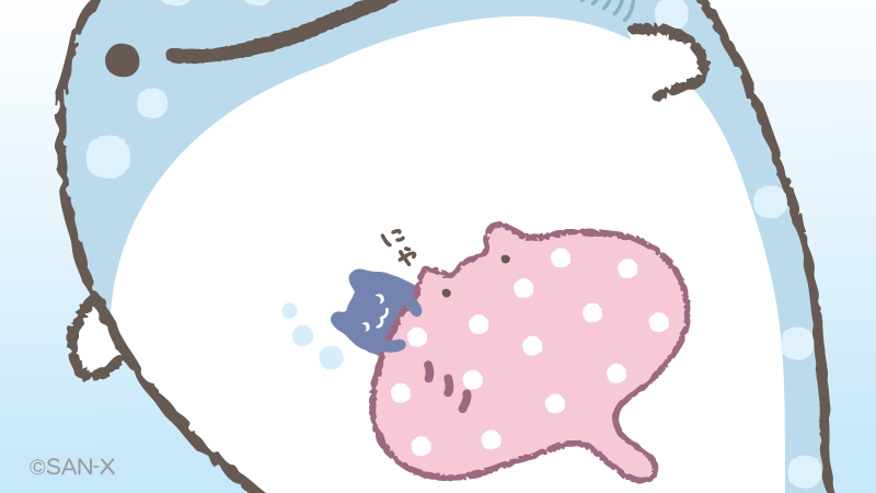 jinbesan_sanx's tweet photo. ネコンブのお気に入りの場所 https://t.co/1y3kMd01WO