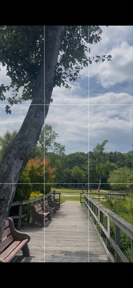 Yeasirvsm's tweet photo. I used the Rule of Thirds and Leading Lines to improve my photos. The Rule of Thirds created balance by keeping the main subject off center, while the Leading Lines guided the viewer’s eyes toward the main subject. This made my photos more natural and interesting. #su2412 https://t.co/SHeW6WSVxE