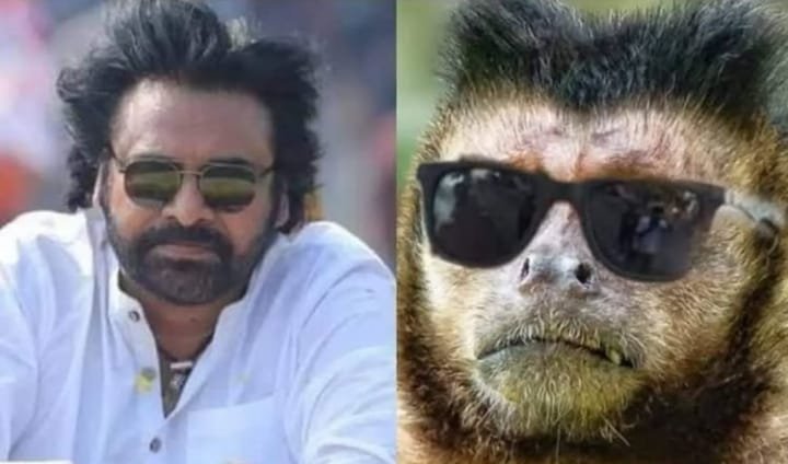 Kantrixntr's tweet photo. Ni pellam ni pandabetti dengutha raa thuraka naa modda ni amma puklo naa modda thuraka lanjodka auto nadupuko ra lanjkodka antee sr ntr joliki ostav endhi ra ni ammamma ni dnegada endhi Kojja naa kodka thuraka kuttha lo naa modda https://t.co/y4ezvTDSPT