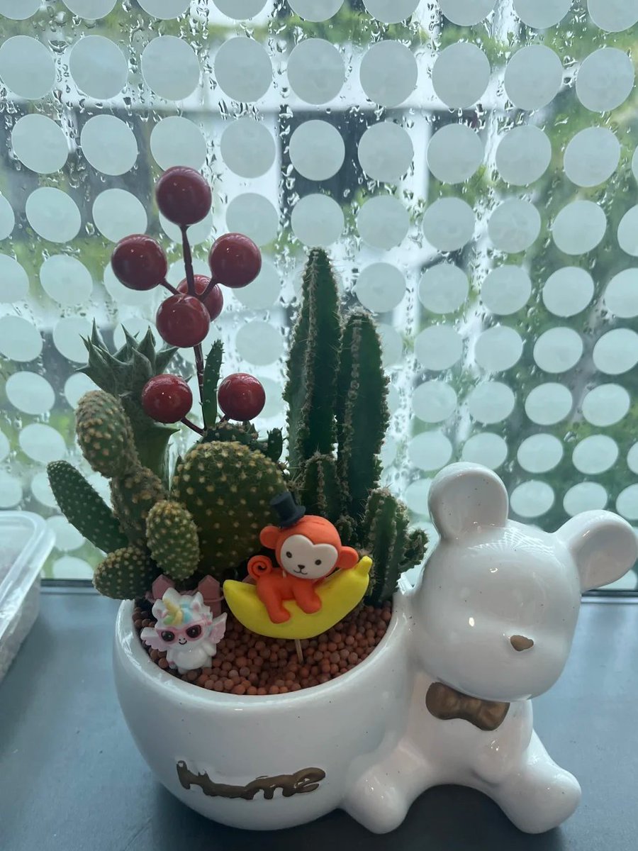 wonde_r_'s tweet photo. 식물을 키우는 게 저에게는 정말 힐링이 돼요. https://t.co/OX1E5Lk9H3