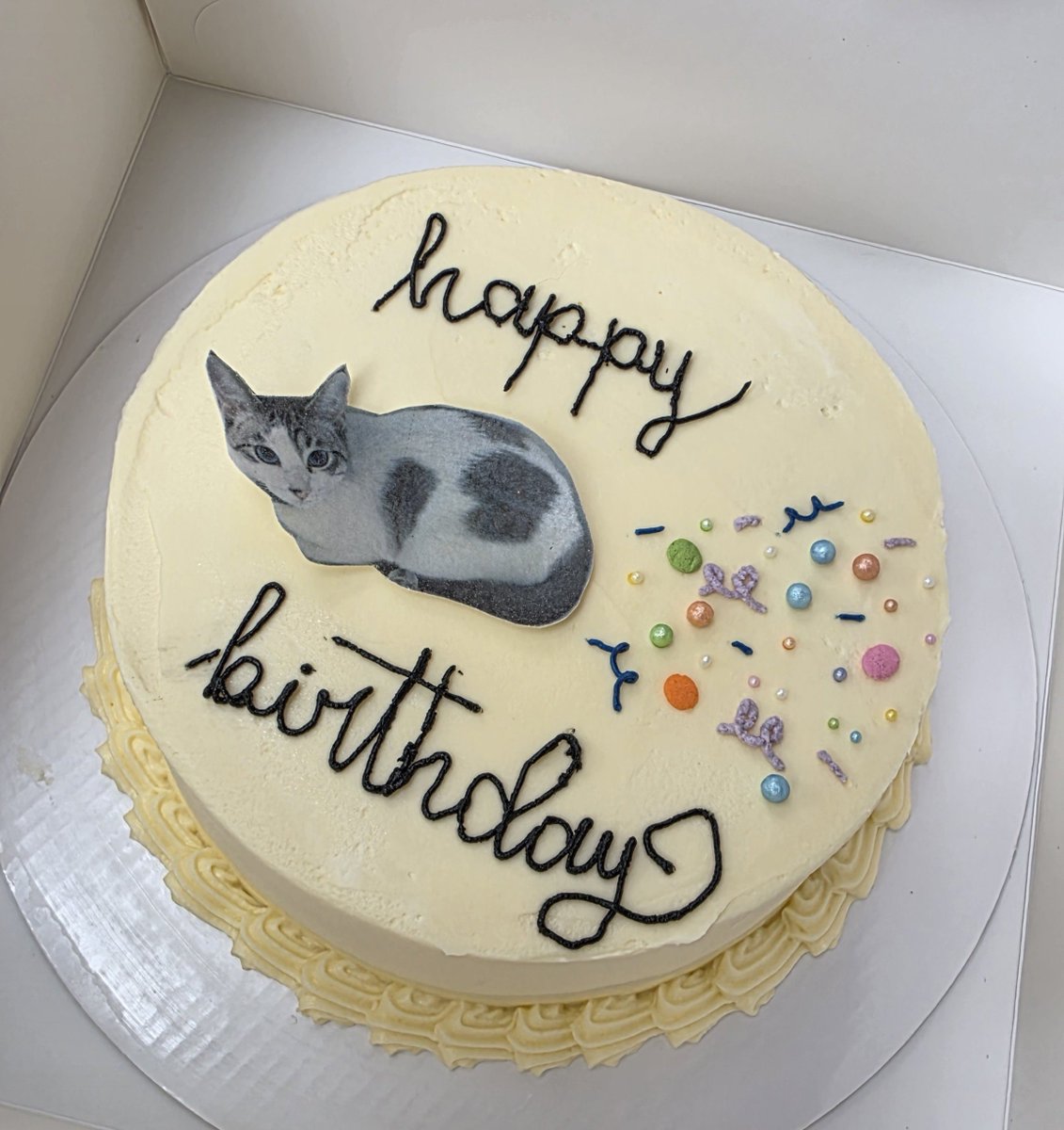 ari_mir__'s tweet photo. El pastel d cumpleaños q me dió astrid tenía a catalina haciendo popó de chispotas de colores ❤️‍🩹 https://t.co/yShToTjCG6