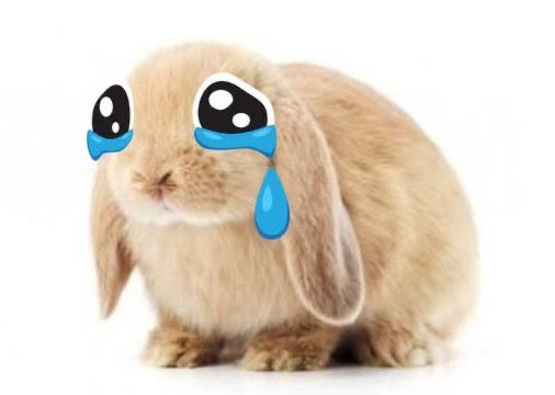 daffybun's tweet photo. @loserbent we live in a society https://t.co/FIUgWSkI9T