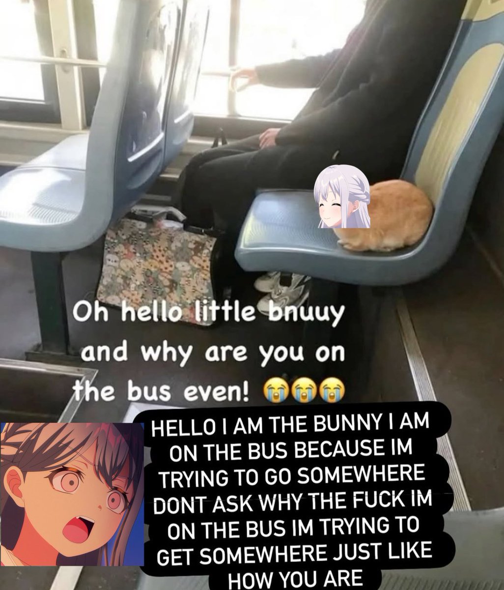 thebuddyadrian's tweet photo. nonoka on da bus https://t.co/RYjzSnRwyD