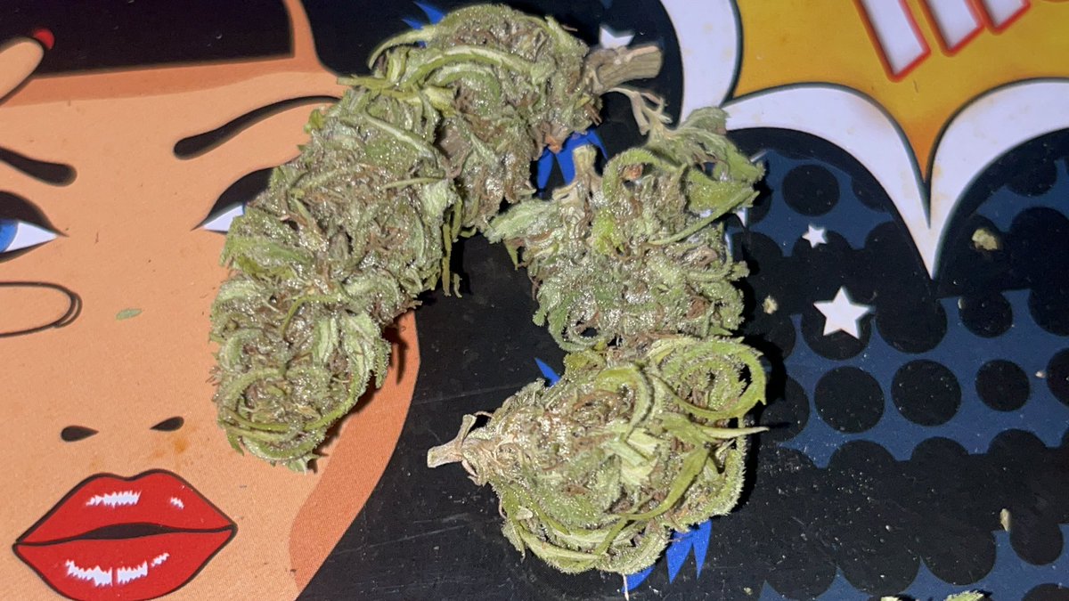 Itsphebeats's tweet photo. Being able to say โI grow the #cannabis I smokeโ is definitely a light flex ๐คท๐พโโ๏ธ๐ฆพ
๐ฎโ๐จ๐จ #itsPhe #GrowYourOwn #Healthy #Health https://t.co/dWx9s810r0