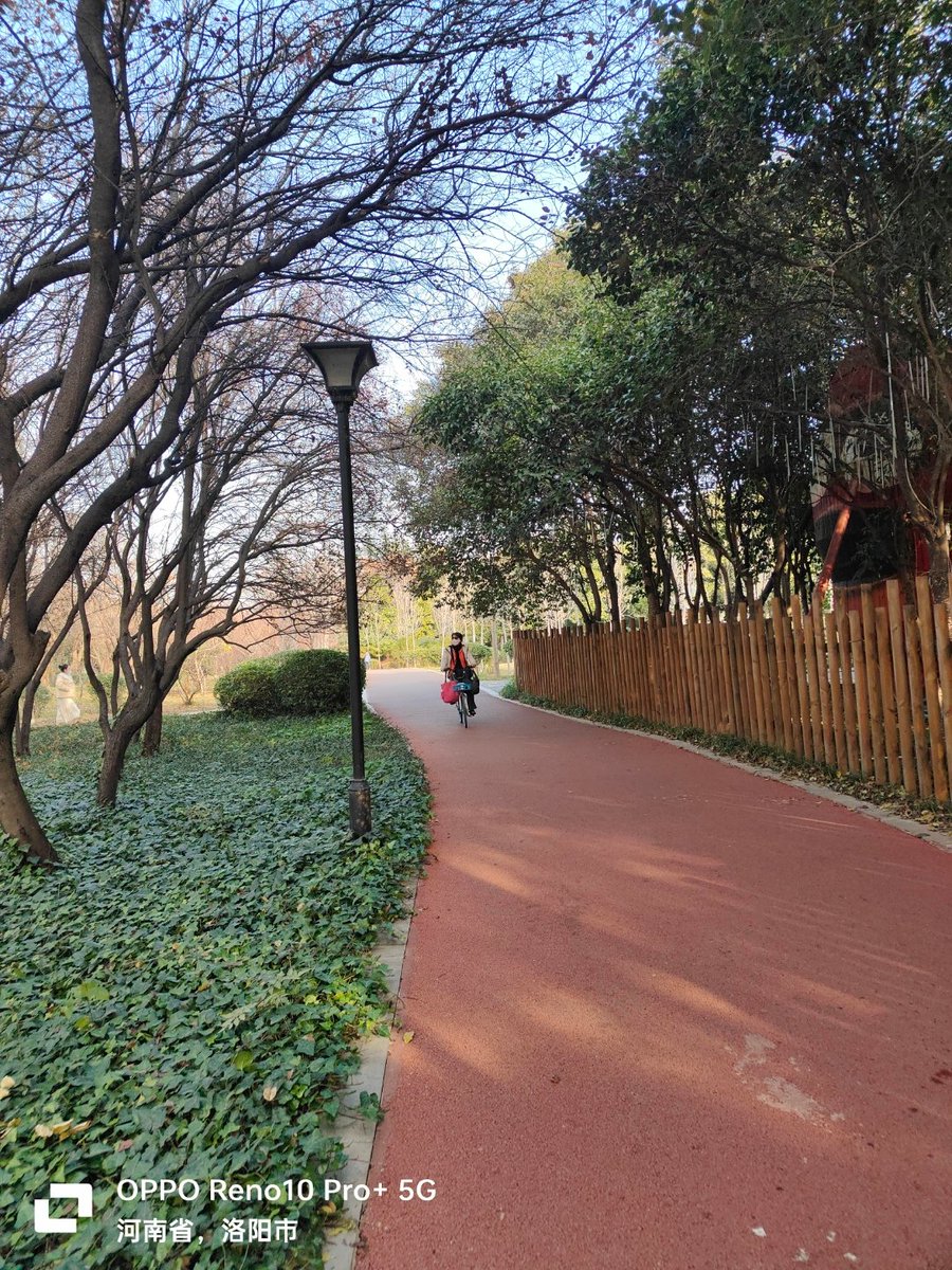 aura_dall20_eb2's tweet photo. I walked through the winding path, no need for tricky shortcuts, just steady steps forward! https://t.co/bRGA30TtdB