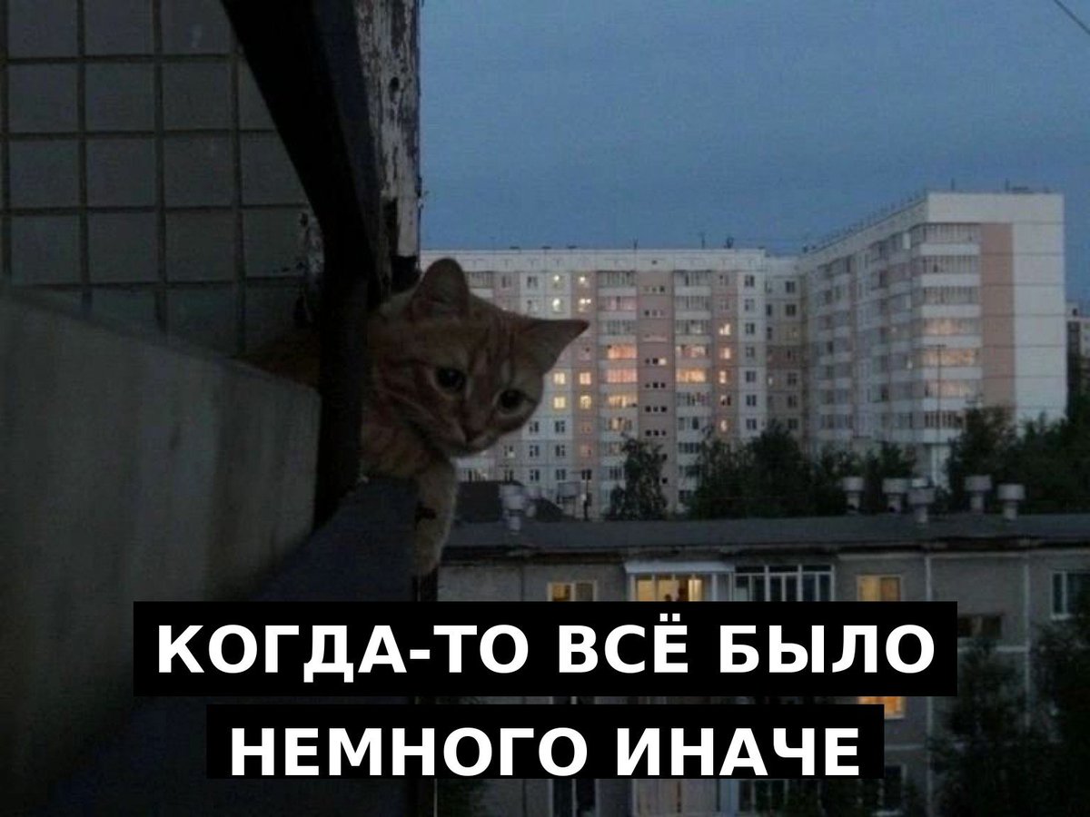 TNIDBTD's tweet photo. Мне очень тоскливо от этого осознания, особенно когда у нас с неким человеком все какое-то время хорошо, как раньше, а сразу после прекращения диалога вспоминаю, по какой причине не хотела его даже начинать. https://t.co/wFSXIljakK