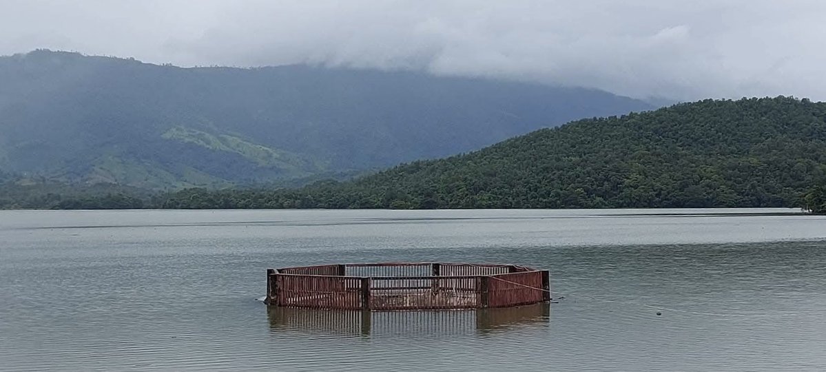 KingKwong149's tweet photo. ฝนที่ตกทางนู้น หนาวถึงคนทางนี้ 🥹 🏕️
ยังอยากได้ยินทุกเรื่องราว 💖
เธอลำบากอะไรไหม เธอสู้ไหวหรือเปล่า ❤️
อย่าลืมเล่าสู่กันฟัง 🥰

น้ำเต็มอ่างเก็บน้ำห้วยป่าแดง 🌳🌲🎋🌱
ก็ระบายออกเช่นกัน ยามเย็นก็ระบายน้ำ 
ยามเช้าก็เช่นกัน 🌞 ขอให้ตื่นมาปลอดภัย ปราศจากน้ำท่วม 🌊 ฝนตกน้อย 🌨️
แดดอุ่นๆ ออกด้วยนะ ⛅️🥹

#ฝนตก