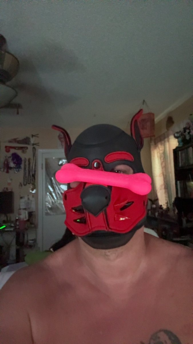 Pup_Draven's tweet photo. https://t.co/w5d5g2PJlz