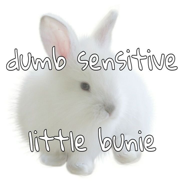 LittleRosie89's tweet photo. ƪ໒꒰ྀི´꒳` ꒱ྀི১ʃ https://t.co/u6zCyslMem