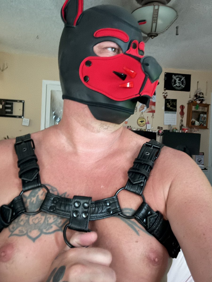 Pup_Draven's tweet photo. https://t.co/IgMD09pogW