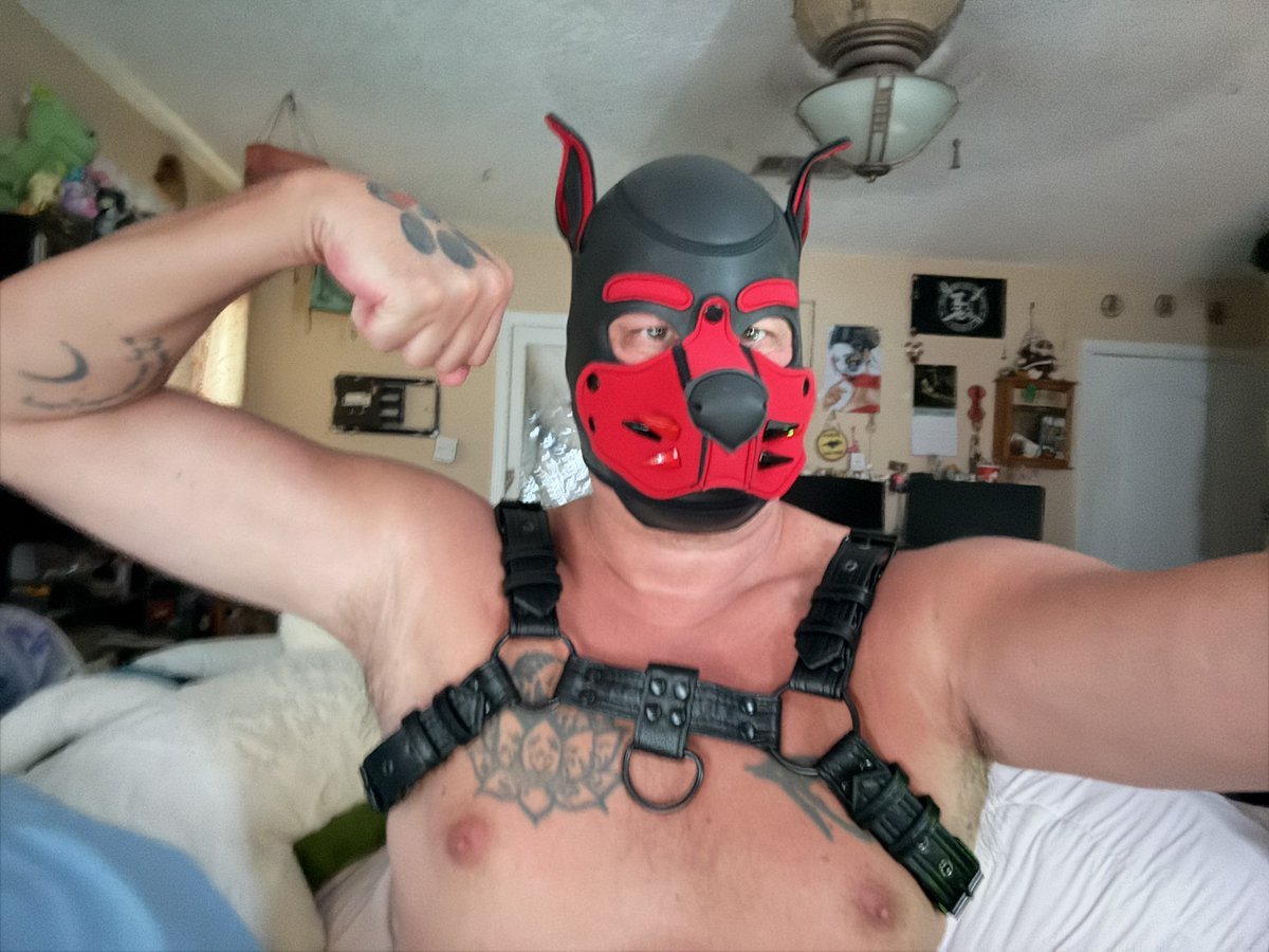 Pup_Draven's tweet photo. https://t.co/IgMD09pogW