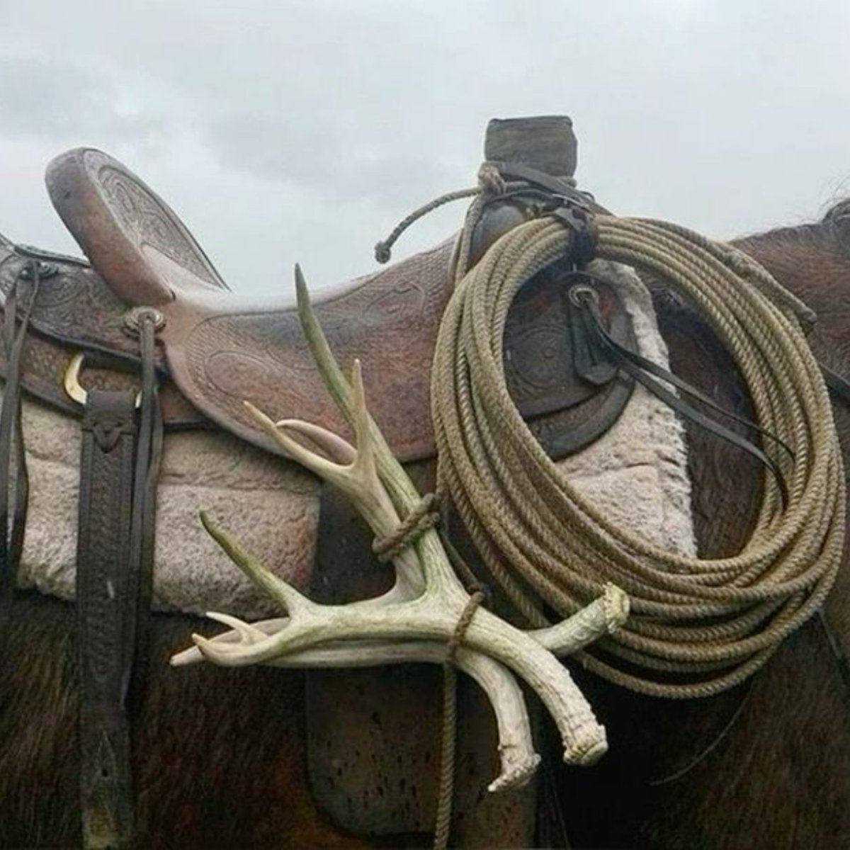 jiIlsmorgan's tweet photo. arthur morgan core https://t.co/niGoksaCco