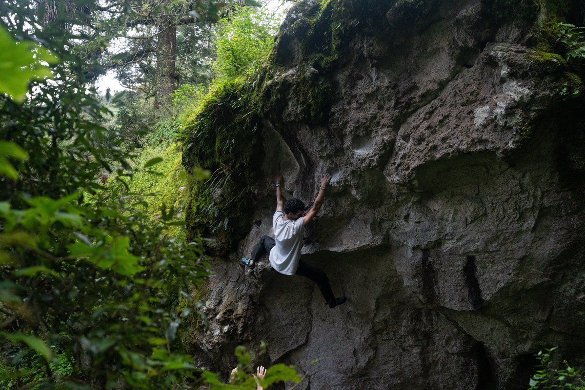 Bertilnis's tweet photo. Bonita sesh en mineral https://t.co/P77JAifodW