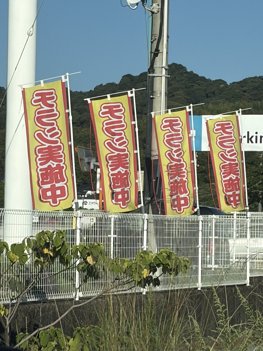 ytzf1t's tweet photo. モラシ実施してんのかと思った https://t.co/Xk6Ehp7fGu